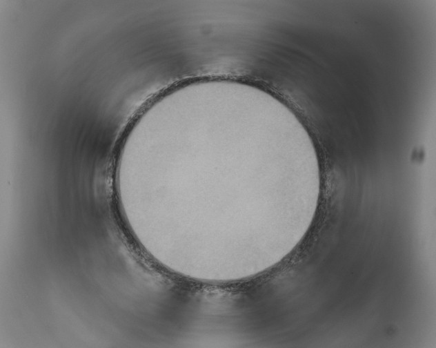 X0000111240632200907231529