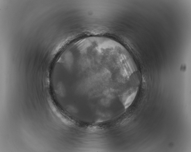 X0000111240634200907231529