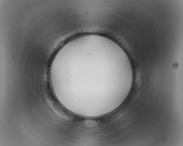 X0000111240636200907231529