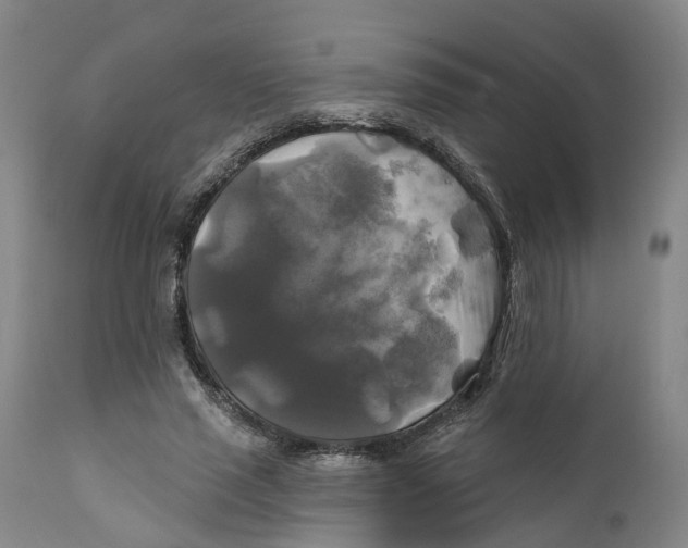 X0000111240637200907231529