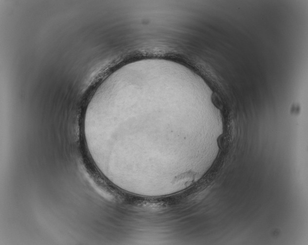 X0000111240638200907231529