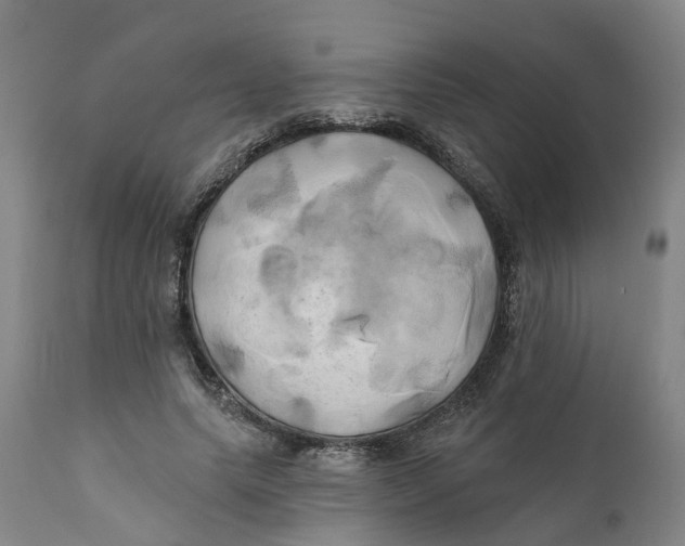 X0000111240639200907231529