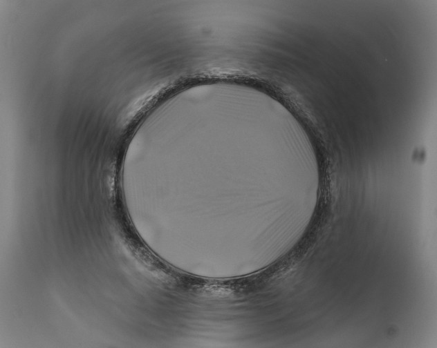 X0000111240640200907231529