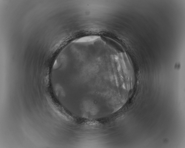 X0000111240642200907231529