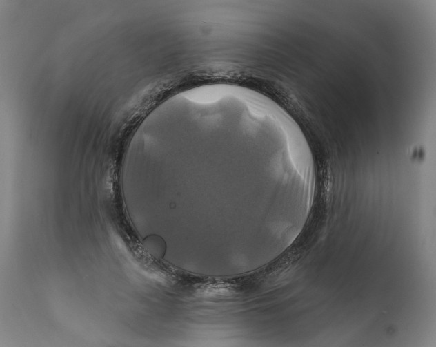 X0000111240643200907231529