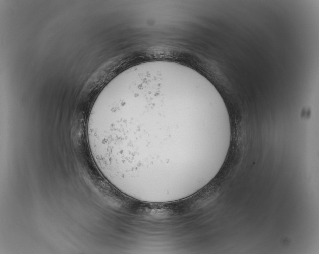 X0000111240645200907231529