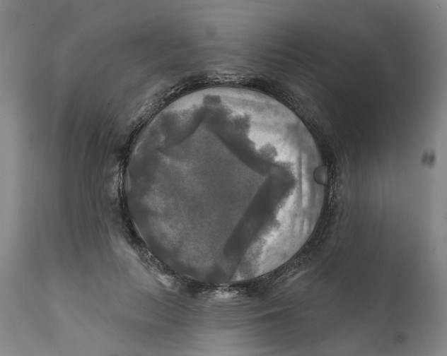 X0000111240647200907231529