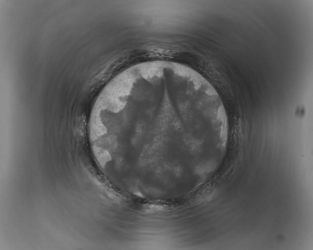 X0000111240649200907231529