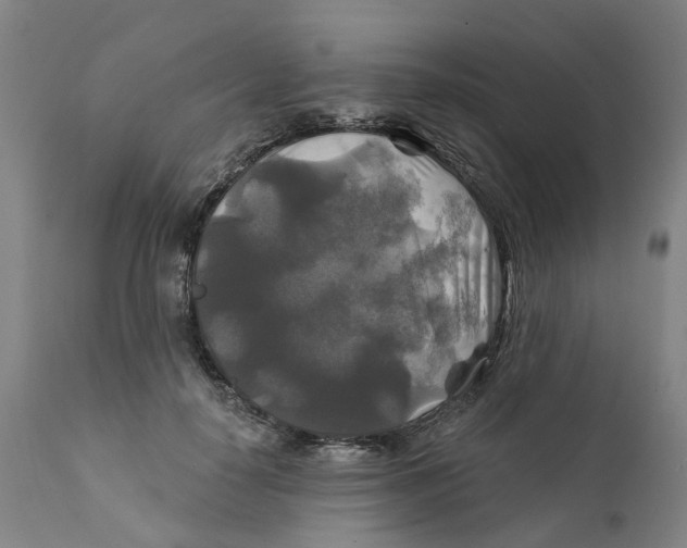 X0000111240650200907231529