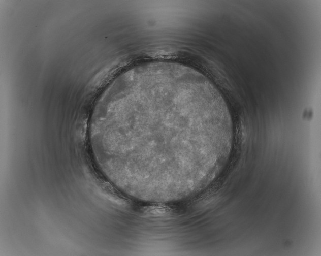 X0000111240652200907231529