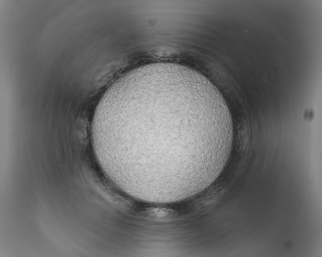 X0000111240654200907231529