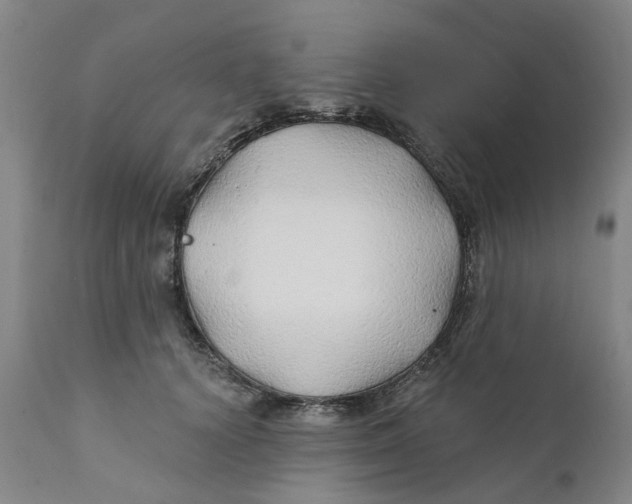 X0000111240656200907231529