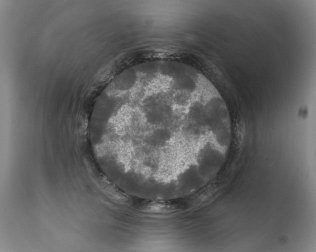 X0000111240657200907231529