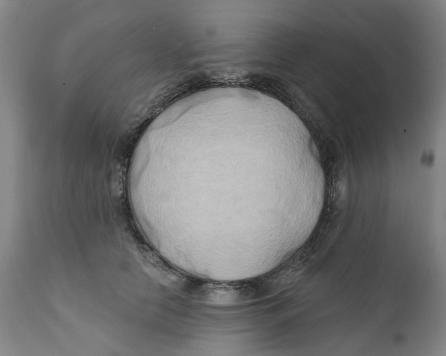 X0000111240658200907231529