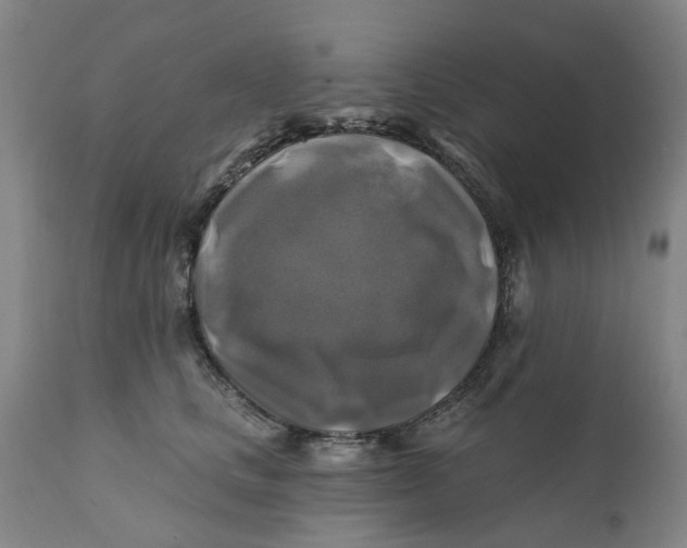 X0000111240661200907231529