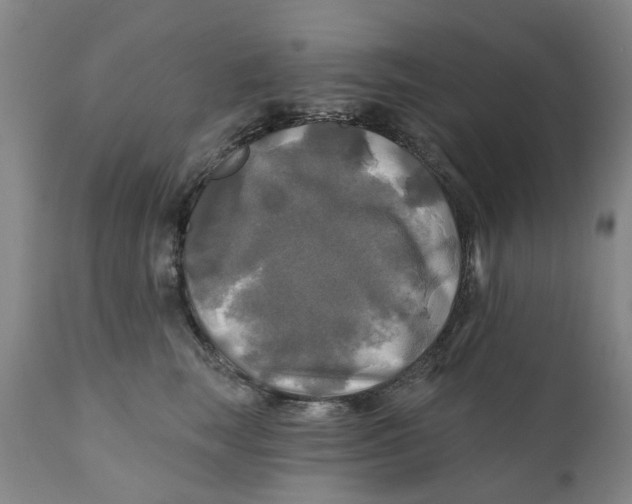 X0000111240663200907231529