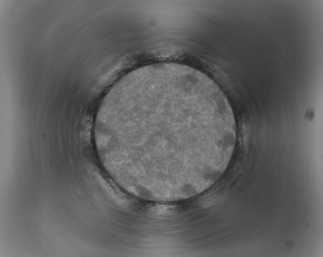 X0000111240664200907231529