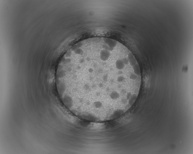 X0000111240665200907231530