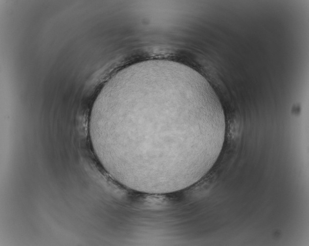 X0000111240666200907231530