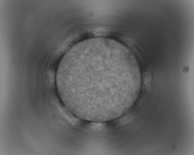 X0000111240667200907231530