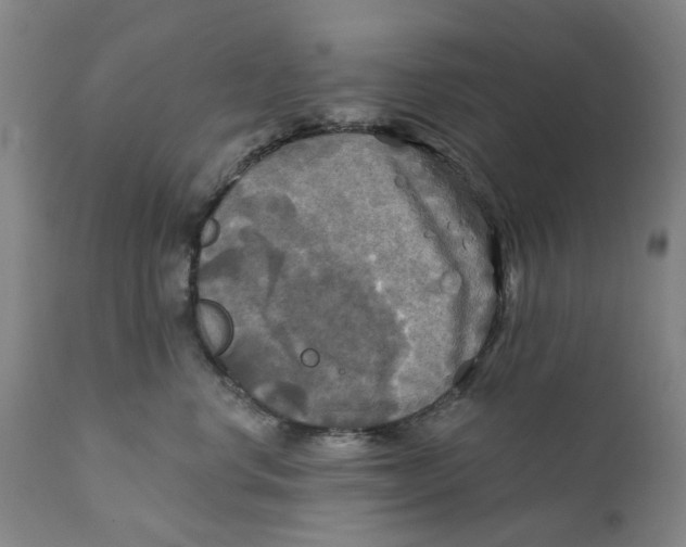 X0000111240668200907231530