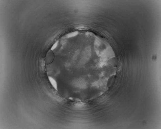 X0000111240669200907231530