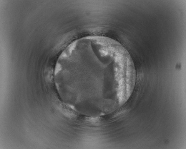 X0000111240671200907231530