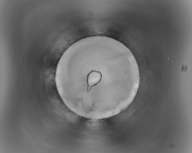 X0000111240672200907231530