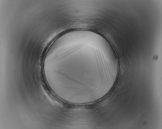 X0000111240674200907231529