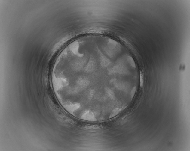 X0000111240675200907231529