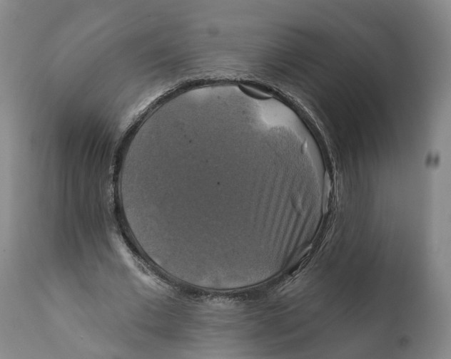 X0000111240677200907231529