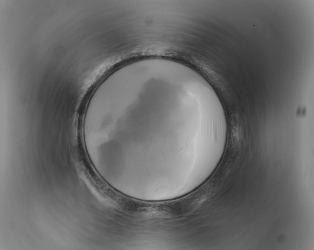 X0000111240678200907231529