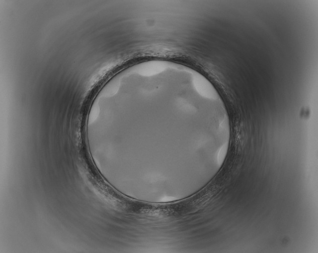 X0000111240679200907231529