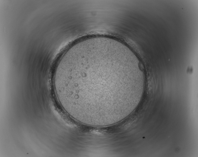 X0000111240680200907231529