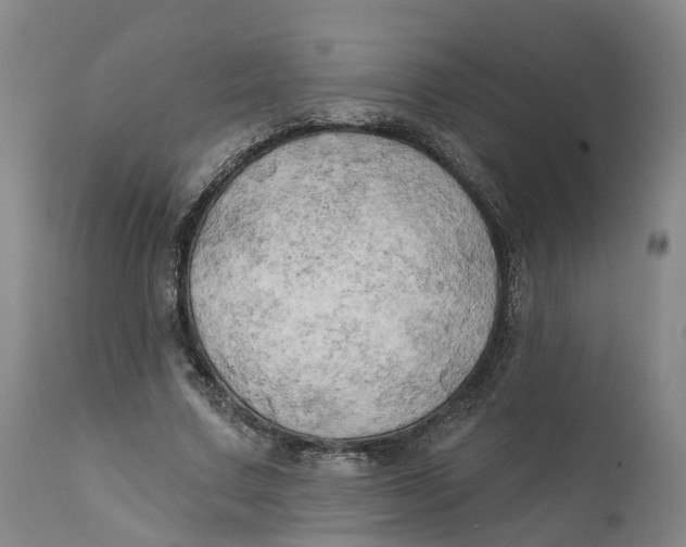 X0000111240683200907231529