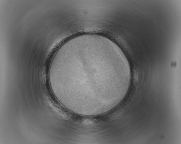 X0000111240684200907231529