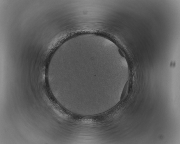 X0000111240685200907231529