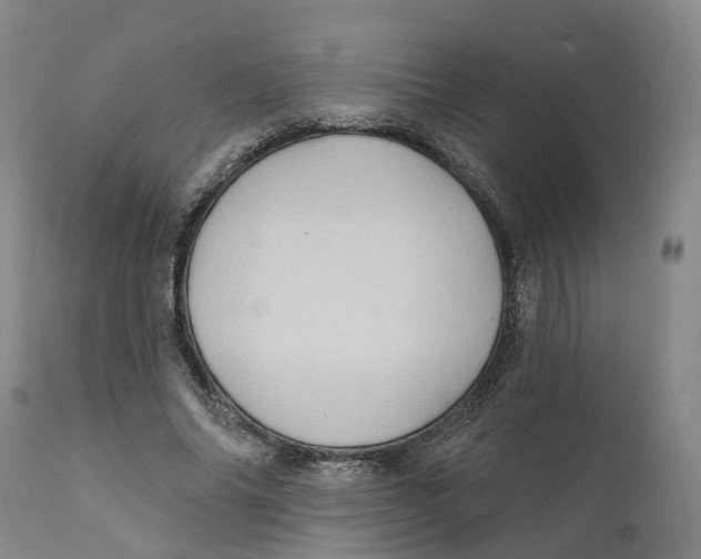 X0000111240686200907231529