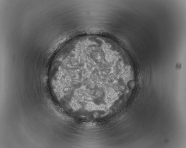 X0000111240687200907231529