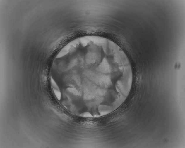 X0000111240691200907231529