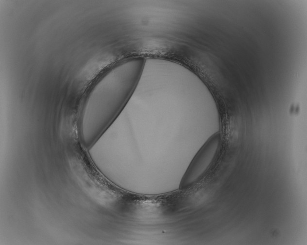 X0000111240692200907231529