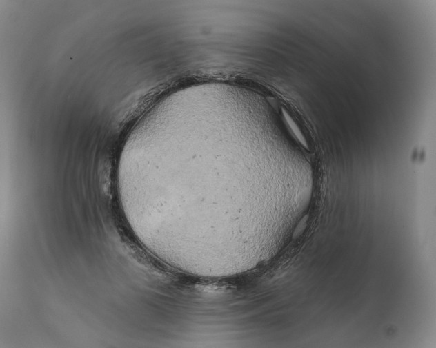 X0000111240693200907231529