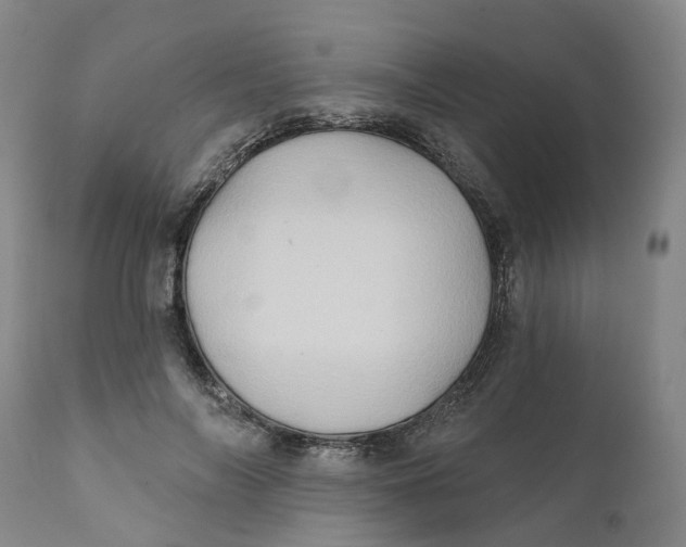 X0000111240694200907231529