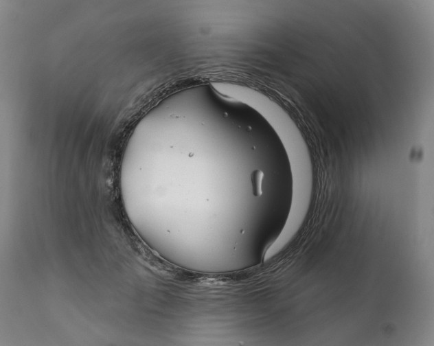 X0000111240701200907231529