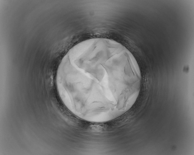 X0000111240703200907231529