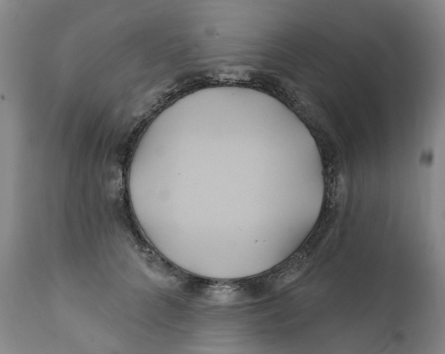 X0000111240704200907231528