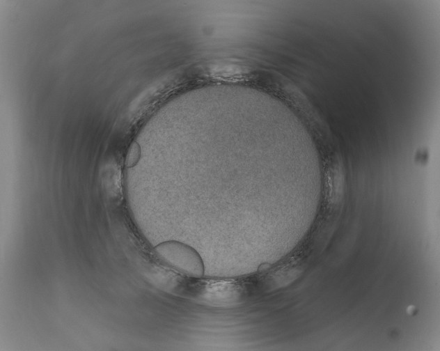 X0000111240705200907231528