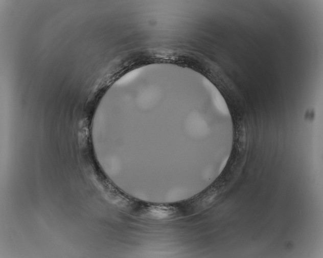 X0000111240707200907231528