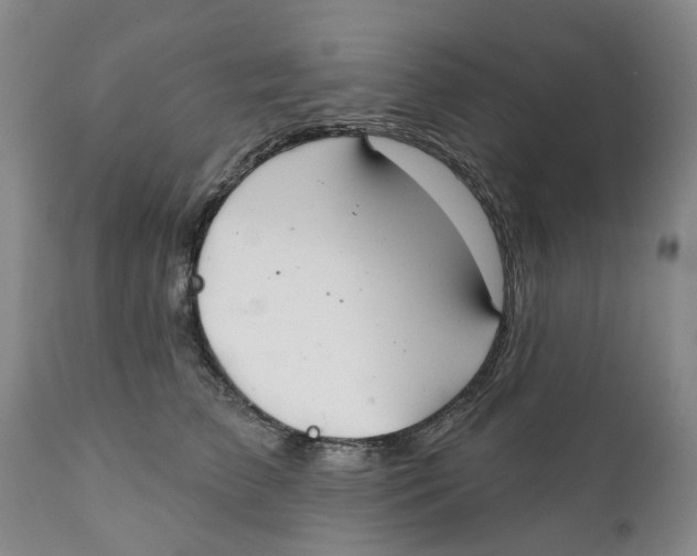 X0000111240709200907231528