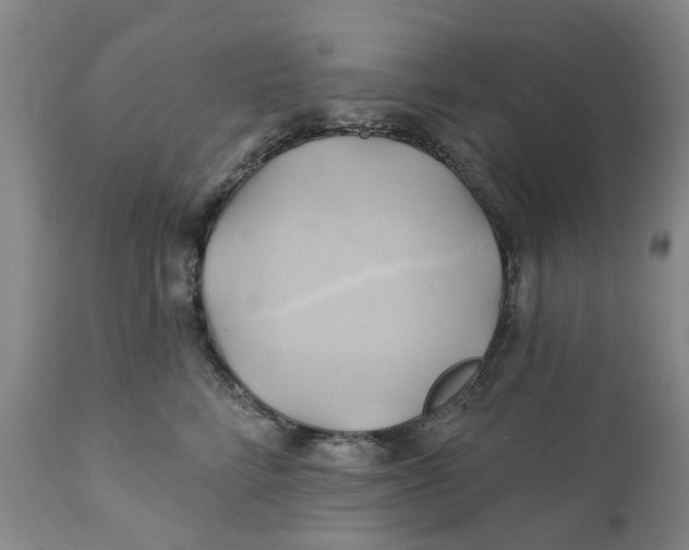 X0000111240712200907231528